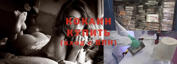 гашик Осташков