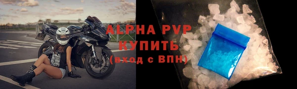 гашик Осташков
