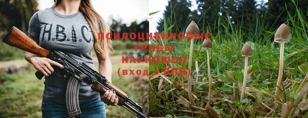 гашик Осташков