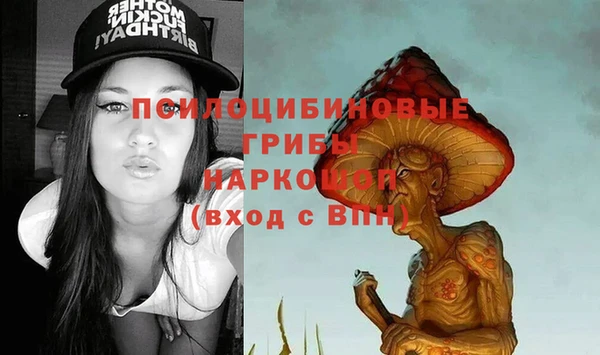 гашик Осташков