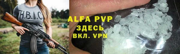гашик Осташков