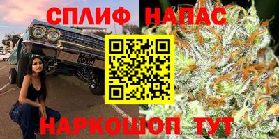 мдпв Коммунар